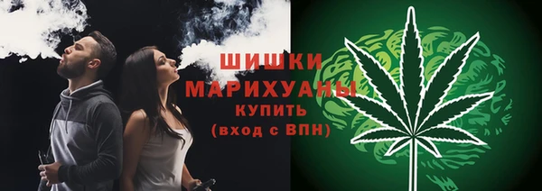 Альфа ПВП Белокуриха