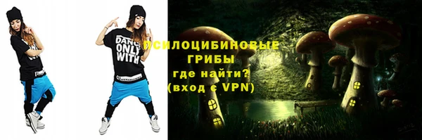 ГАЛЛЮЦИНОГЕННЫЕ ГРИБЫ Белоозёрский