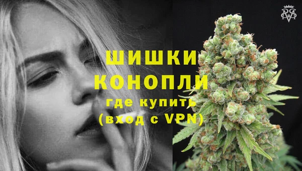 ГАЛЛЮЦИНОГЕННЫЕ ГРИБЫ Белоозёрский